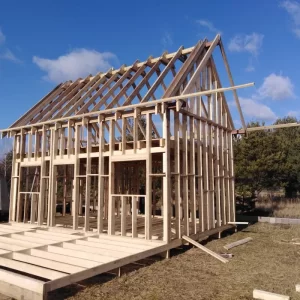 Konstrukcja Szkieletowa Domku